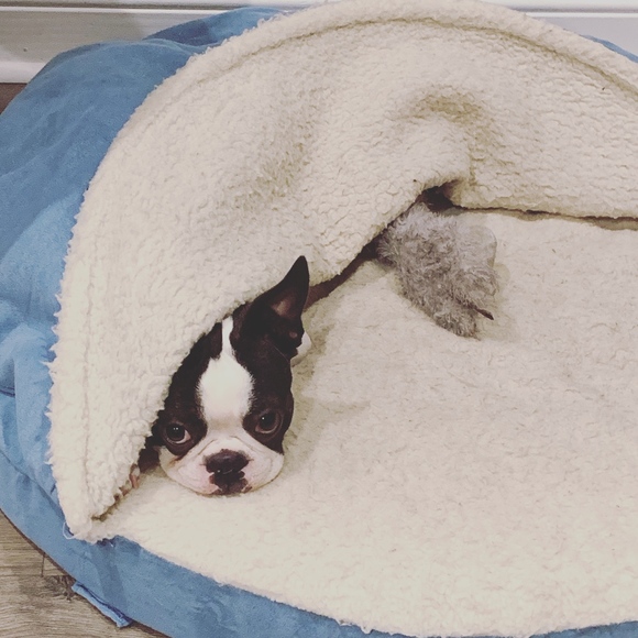 Meet your Posher, Karah - Picture 1 of 1